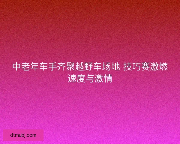 中老年车手齐聚越野车场地 技巧赛激燃速度与激情